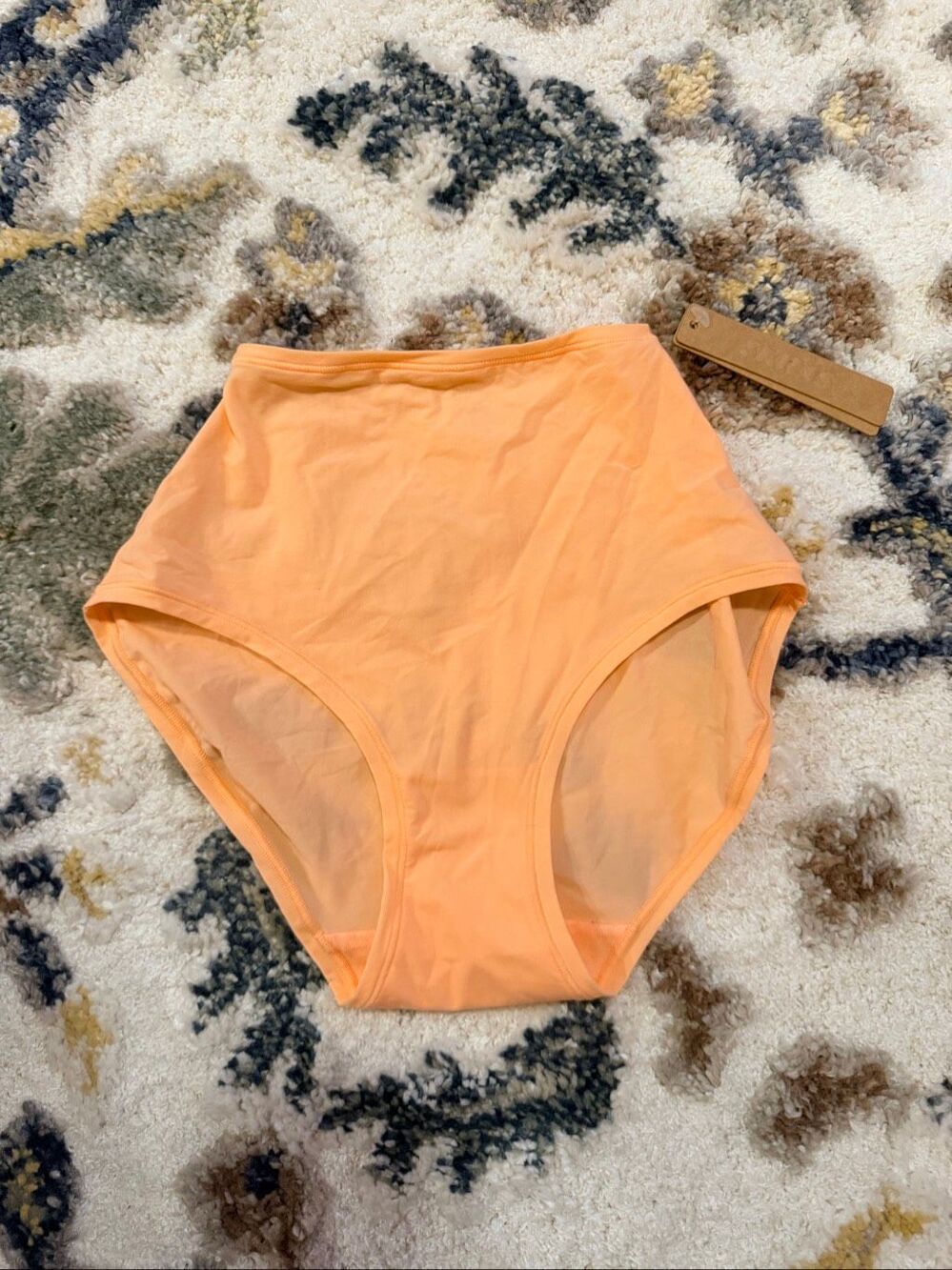 SKIMS Fits Everybody Full Brief Faded Nectar Size XS NWT Womens Panty Underwear